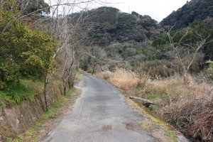 IMG_6044