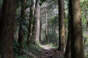 IMG_6069