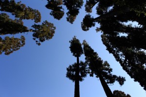 IMG_5666