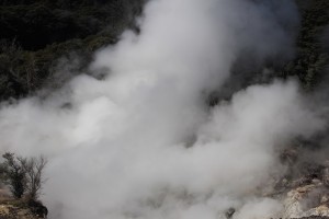 IMG_5602