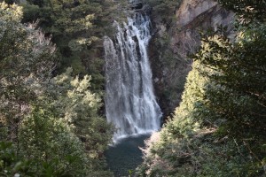 IMG_7248