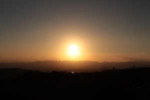 IMG_7264