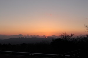 IMG_7287