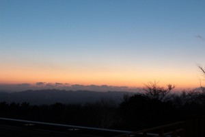 IMG_7306