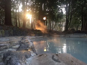 IMG_8266