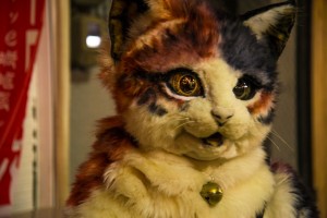 20170312_neko-yakiimo-33