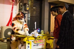 20170312_neko-yakiimo-8