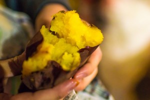 20170312_neko-yakiimo-45