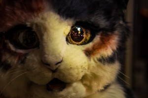 20170312_neko-yakiimo-56