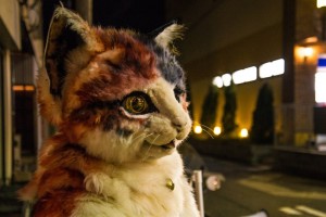 20170312_neko-yakiimo-28