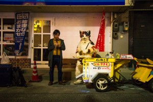 20170312_neko-yakiimo-32