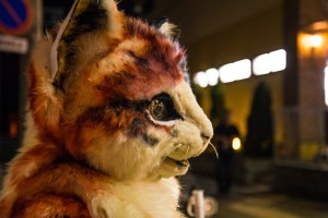 20170312_neko-yakiimo-27