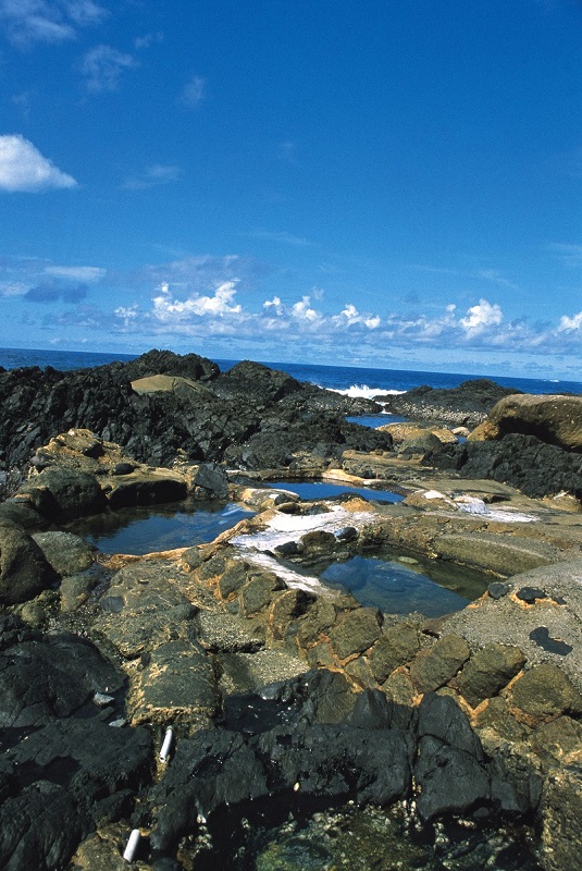 写真協力:公益社団法人 鹿児島県観光連盟