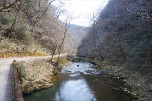 DSC06342_R