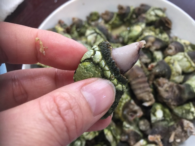 提供:いその香り
