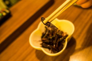 20170427_shibuya_spot-19