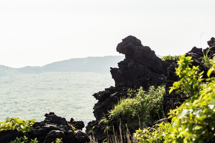 20170518_izu-ooshima-233