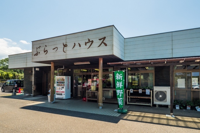20170518_izu-ooshima-376