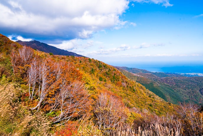 spot-sado_DSC1066