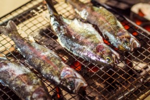 20170619_kodaimura-148