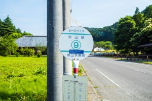 20170619_kodaimura-186