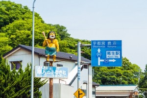 20170619_kodaimura-215