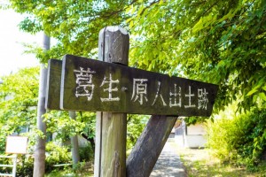 20170619_kodaimura-213