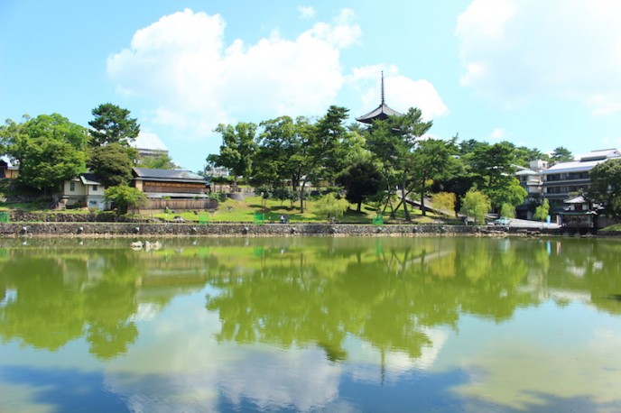 五重塔が池に写り込むフォトスポット