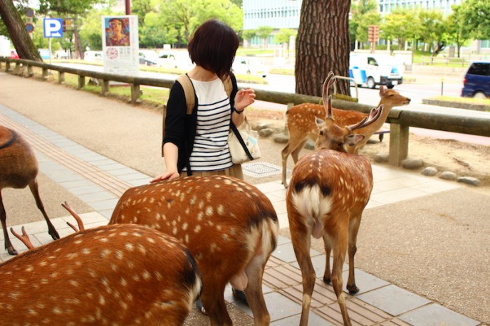 公園5