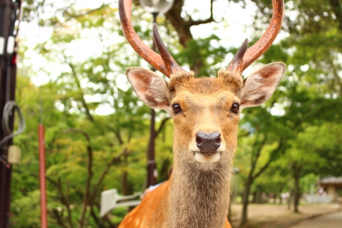 公園