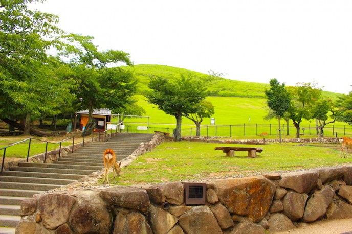 若草山