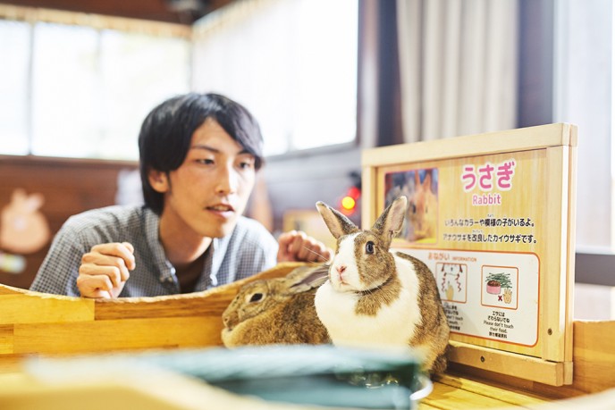 うさぎさん、いつもお疲れ様です。