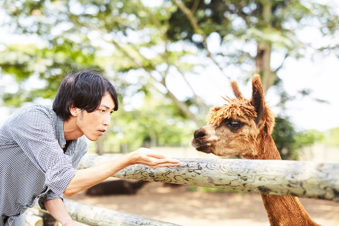 アルパカさん、こんにちは。
