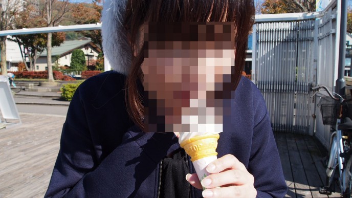 モザイクソフト3
