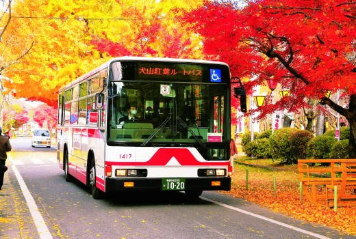 koto-bus-520x350