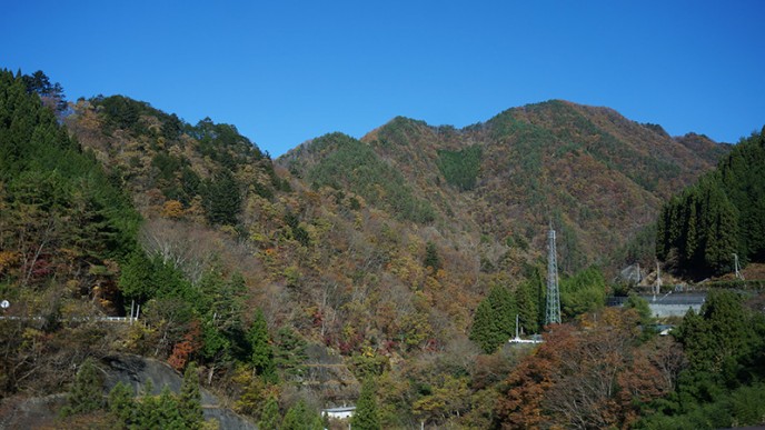 この広大な山の中で、罠を踏み抜いてもらうという。すごい!