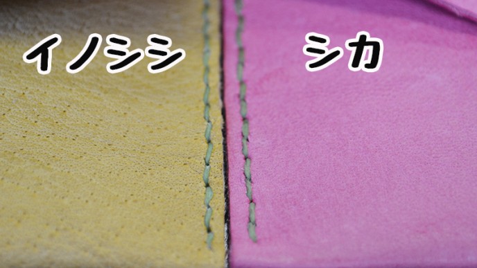 よく見るとイノシシの方は3つの毛穴が見える