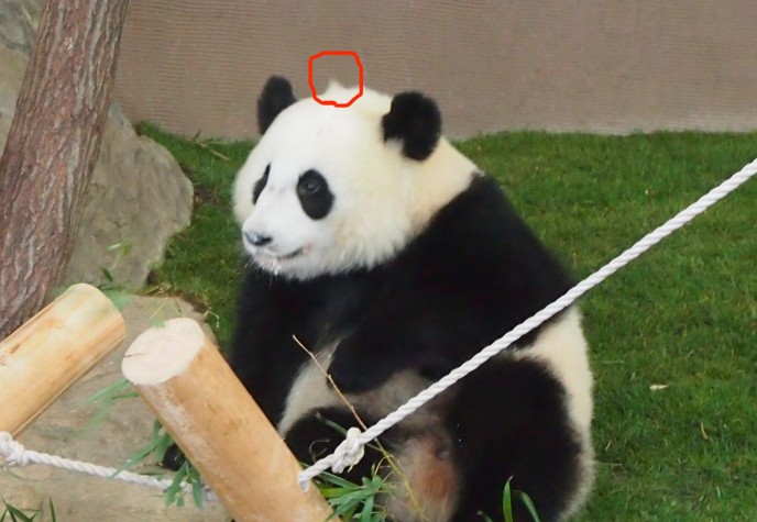 とんがり