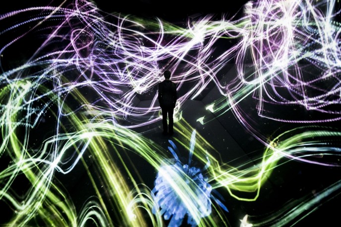 『追われるカラス、追うカラスも追われるカラス、そして超越する空間』photo by teamLab