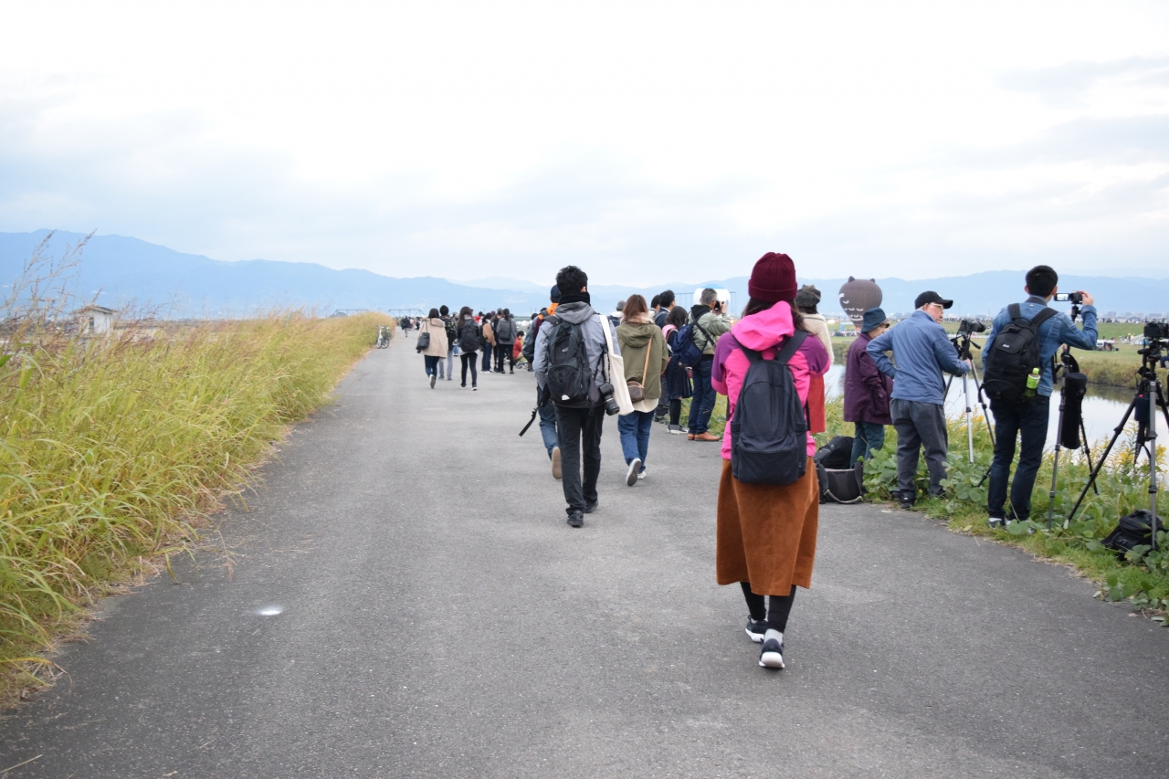DSC_0242_服装