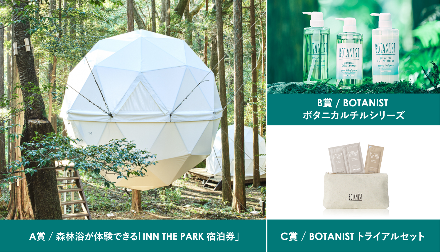 A賞:森林浴が体験できる「INN THE PARK 宿泊券」 1組2名様