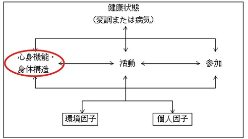 ICF_身体機能