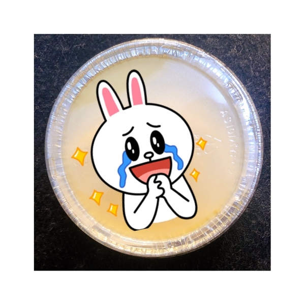 image0.jpeg