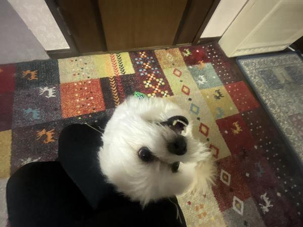 cast_4778blog_371636.jpeg