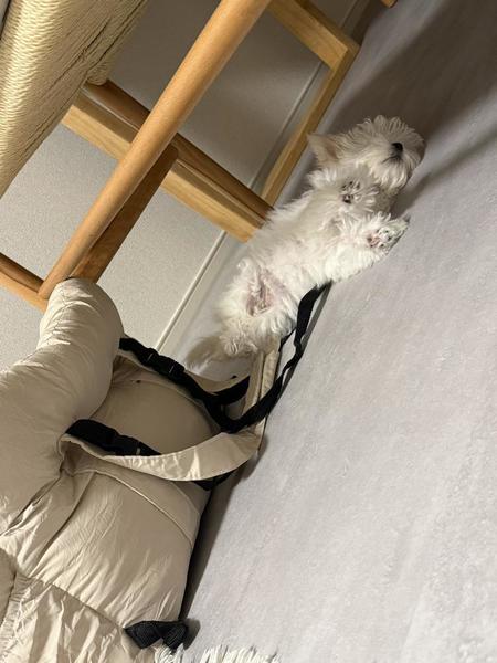 cast_7197blog_400719.jpeg