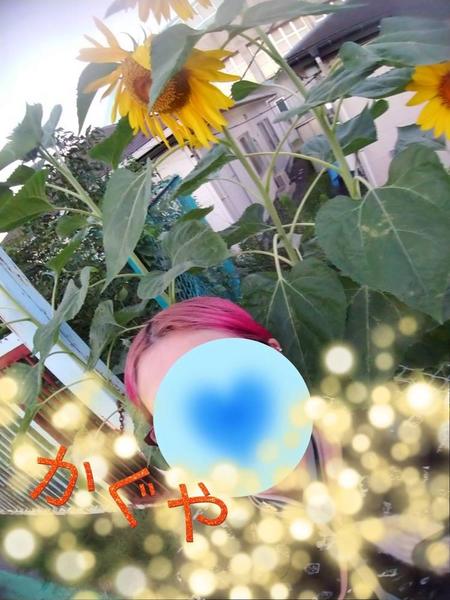 cast_7314blog_402513.jpeg