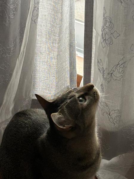 cast_7465blog_413423.jpeg