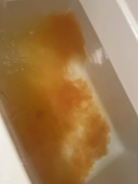 cast_7544blog_417624.jpeg