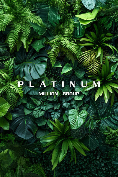 PLATINUMキャストノーイメージ.jpg