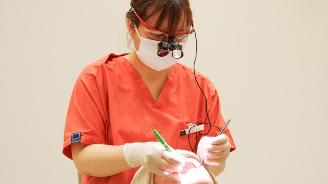 新浦安U歯科の歯科衛生士求人その他画像2